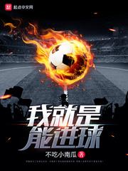 我就是能进球 我就是能进球