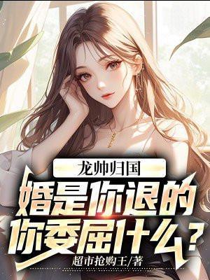 龙帅归国:婚是你退的,你委屈什么? 龙帅归国:婚是你退的,你委屈什么?