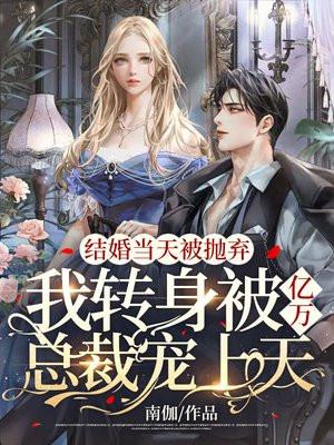 重生追回我的宝藏女孩免费阅读