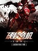 硬核危机 硬核危机