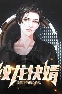 纹龙快婿 纹龙快婿