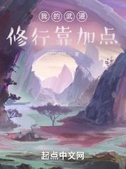 我的武道修行靠加点 我的武道修行靠加点