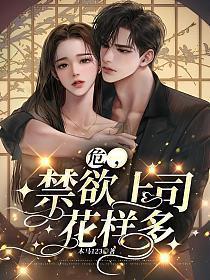 大劫主境界划分