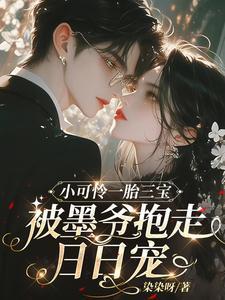 小可怜一胎三宝被墨爷抱走日日宠 小可怜一胎三宝被墨爷抱走日日宠