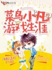 菜鸟小凡的游戏生涯 菜鸟小凡的游戏生涯
