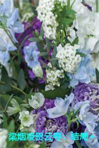 仙帝归来云青岩 仙帝归来云青岩