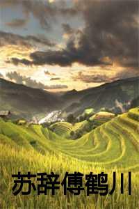 傅鹤川苏辞 傅鹤川苏辞