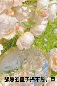 九章吉晋江 九章吉晋江