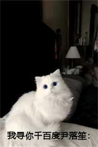 国民导演是男神 孤木双