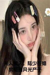 路有川，陆府，陆少