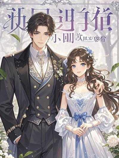 摄政王娶公主的