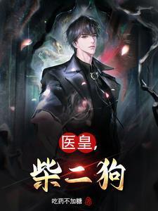 天启之夜笔趣阁