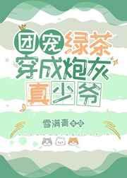 团宠绿茶穿成炮灰真少爷 团宠绿茶穿成炮灰真少爷