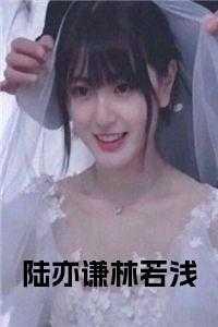 林若浅，陆家，满是