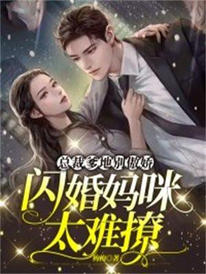 总裁爹地别傲娇,闪婚妈咪太难撩 总裁爹地别傲娇,闪婚妈咪太难撩
