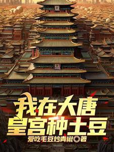 七零金刚芭比txt