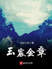 玉宸金章 玉宸金章