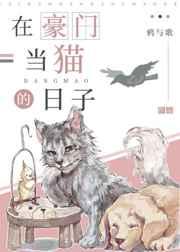 在豪门当猫的日子 在豪门当猫的日子