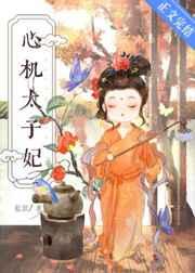 心机太子妃 心机太子妃