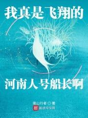 我真是飞翔的河南人号船长啊 我真是飞翔的河南人号船长啊