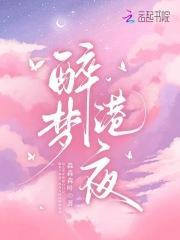 醉梦港夜 醉梦港夜