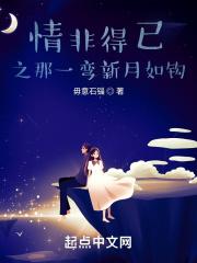 情非得已之那一弯新月如钩 情非得已之那一弯新月如钩
