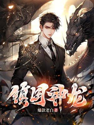 镇国神龙 镇国神龙