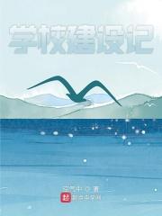 大漠苍狼绝密飞行