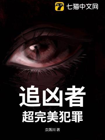 追凶者:超完美犯罪 追凶者:超完美犯罪