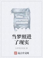 当梦照进了现实