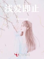 南菲陆昭全文免费阅读