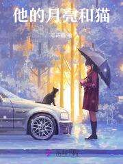 我都当赘婿了 我都当赘婿了