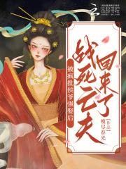 夫人跟老爷的小妾跑了 好看吗