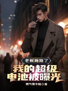 老板跑路了,我的超级电池被曝光 老板跑路了,我的超级电池被曝光