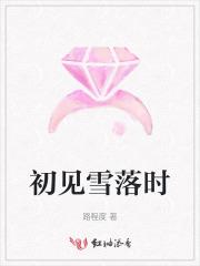 初见雪落时