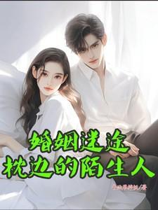 天医圣手叶不凡的免费的