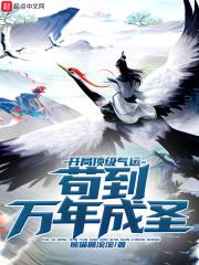 恋战新梦讲的是什么