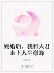 赐婚后，我和夫君走上人生巅峰