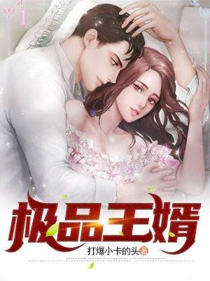 极品王婿