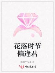 花落时节偏逢君