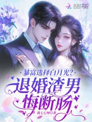 修复师 打眼正版