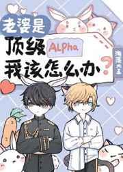 老婆是顶级Alpha,我该怎么办 老婆是顶级Alpha,我该怎么办