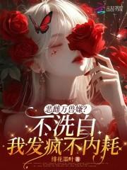 在我的世界里做模组的软件