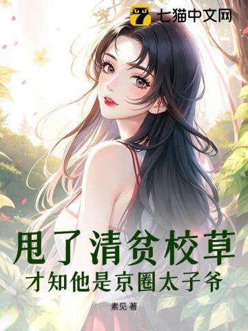 小续弦全集 小续弦全集