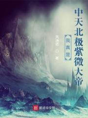 我真是中天北极紫微大帝 我真是中天北极紫微大帝