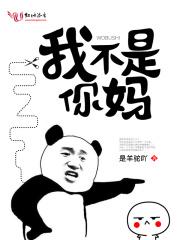 官途一夫当官鸡犬升天免费阅读