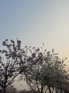 让我们钓鱼吧用英语怎么说