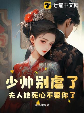 权力巅峰之我不是青天完结篇