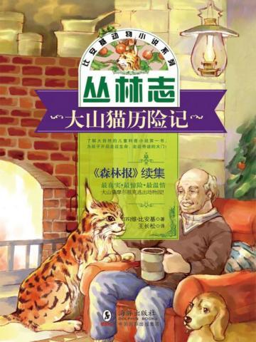 沈姝姜衍声笔趣阁