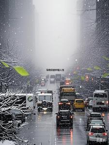 苏媚赵大宝的在哪可以看